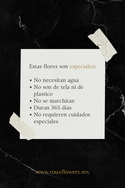 Eternelle Heart Box | 13 Rosas