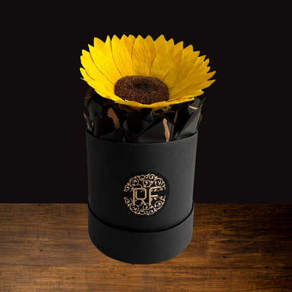 Eternelle Box | 1 Girasol