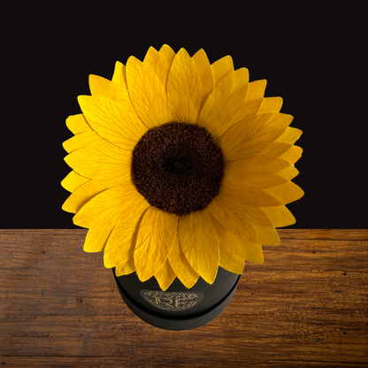 Eternelle Box | 1 Girasol