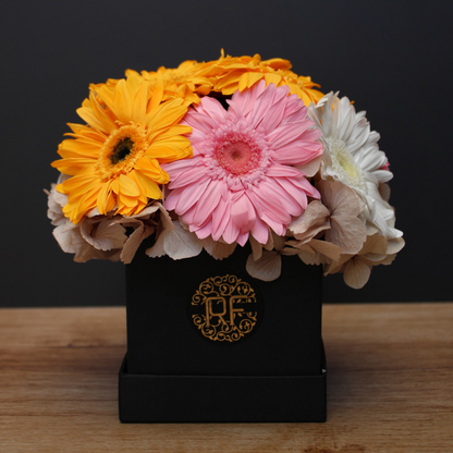 Eternelle Box | 10 Gerberas | Colores Mixtos