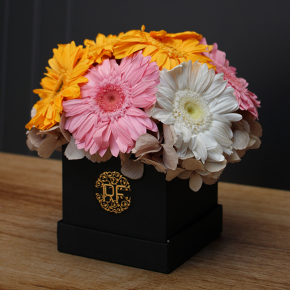 Eternelle Box | 10 Gerberas | Colores Mixtos