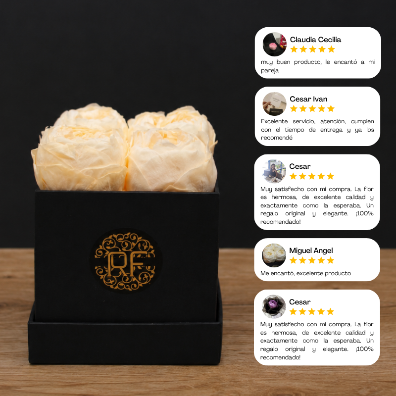 Eternelle Box | 4 Peonias