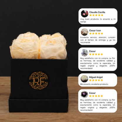Eternelle Box | 4 Peonias