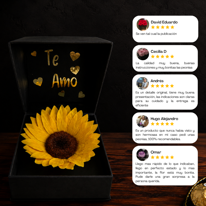 Reseñas y opiniones de clientes satisfechos con el girasol eterno en caja cofre para regalo