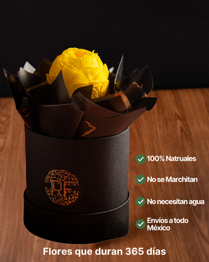 Eternelle Box | 1 Peonia