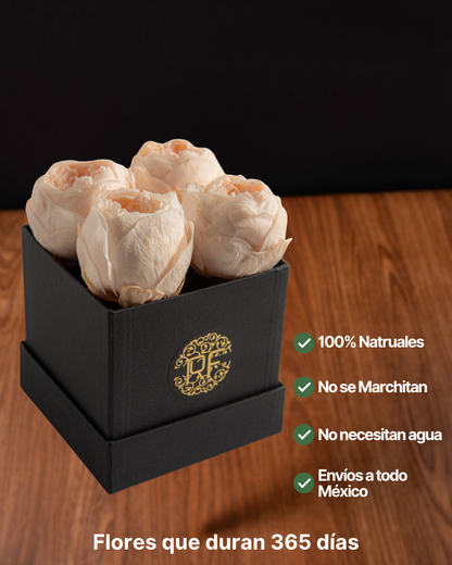 Eternelle Box | 4 Peonias