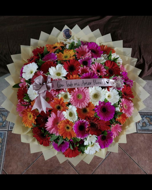 Ramo 72 Gerberas Multicolor Frescas | Solo CDMX