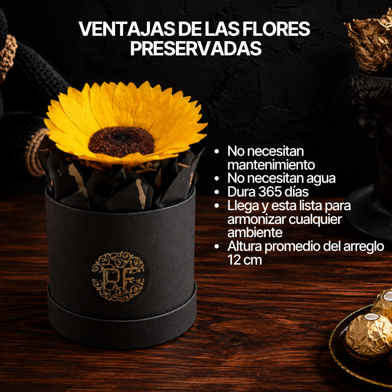 Infografía con beneficios de flores preservadas que duran meses sin agua y conservan textura natural