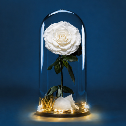 Glass Rose | 1 Rosa | Rosa Blanca