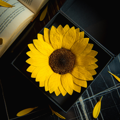 Flor de girasol eterna que no se marchita montada en base alhajero negra de regalo