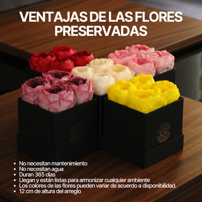 Eternelle Box | 4 Peonias