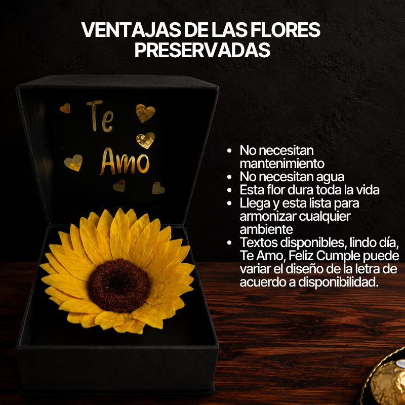 Beneficios y cuidados del girasol preservado que no necesita agua y dura meses perfecto