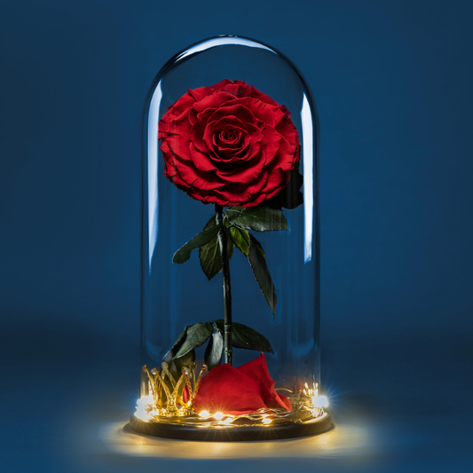 Glass Rose | 1 Rosa
