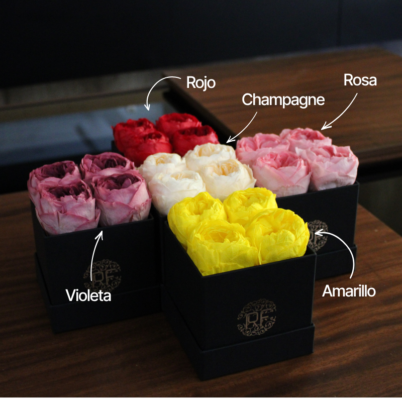 Eternelle Box | 4 Peonias