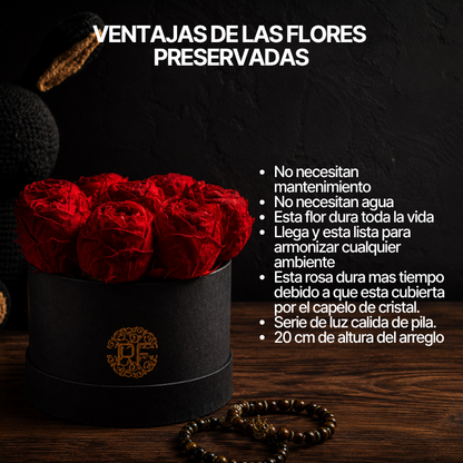 Eternelle Box | 8 Peonias