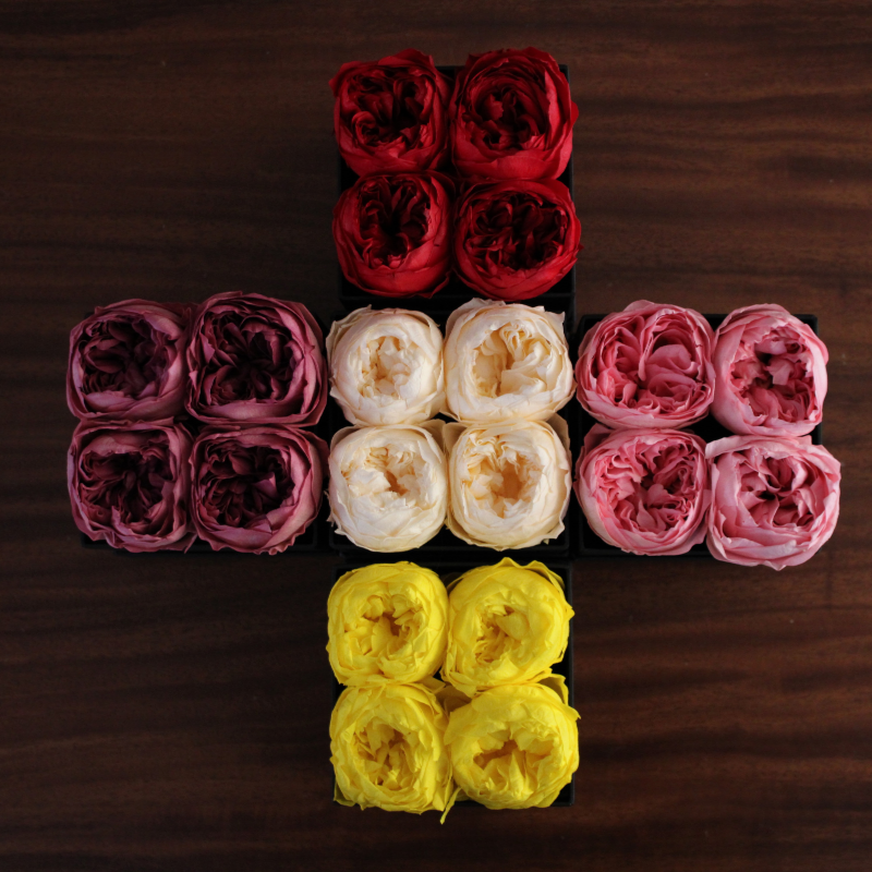 Eternelle Box | 4 Peonias