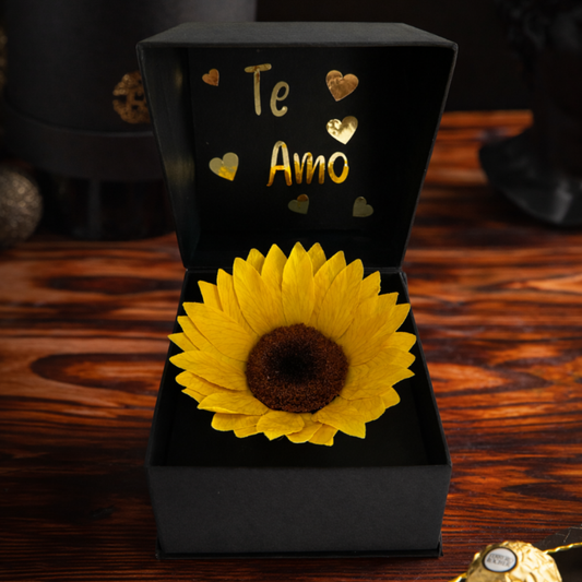 Coffer Box | 1 Girasol