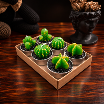Set de 6 velas en forma de cactus y suculentas en bandeja artesanal