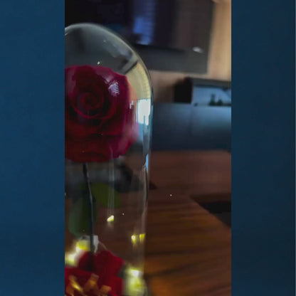 Glass Rose | 1 Rosa | Rosa Blanca